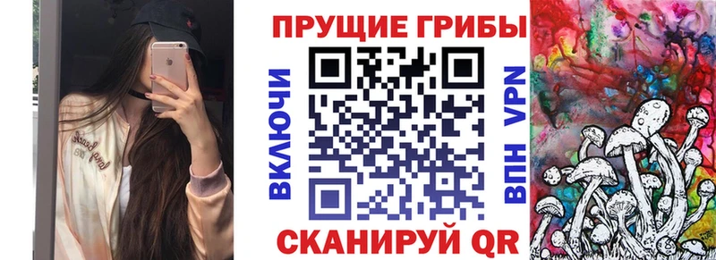 Галлюциногенные грибы мицелий  Купить  Дзержинский 